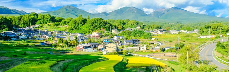 移住情報